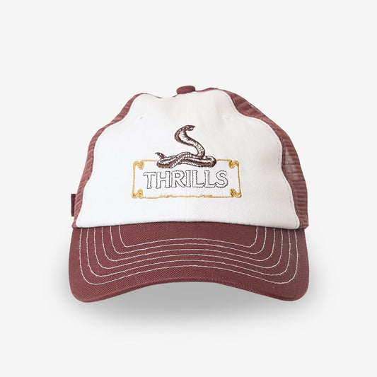 Above It All Trucker Cap - Postal Brown